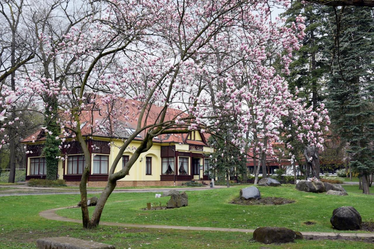 Villa Hotel Debrecen Kültér fotó