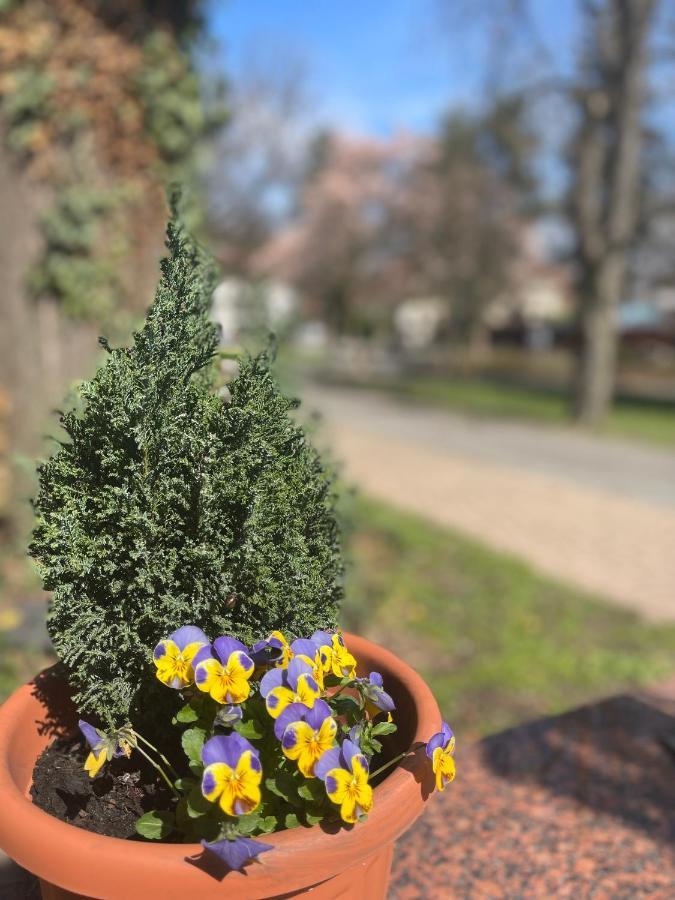 Villa Hotel Debrecen Kültér fotó